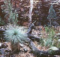 Alligator Lodge - Accommodation Sunshine Coast