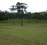 Mt White Lodge - Accommodation Sunshine Coast