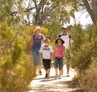 Pepper Tree Cottage - Accommodation Sunshine Coast