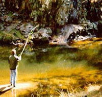 Markdale Homestead - Accommodation Sunshine Coast