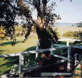Kidogo Cottage - Accommodation Sunshine Coast