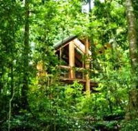 Fur'N'Feathers Rainforest Tree Houses - Accommodation Sunshine Coast