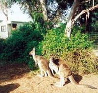 Avoca Dell Caravan Park - Accommodation Sunshine Coast