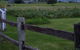 Old Schoolhouse Milton - thumb 8
