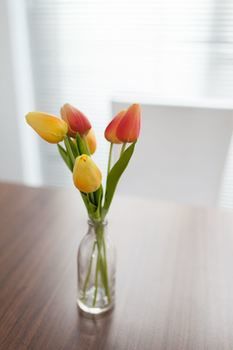 Easystay Apartments Raglan Street - Accommodation Sunshine Coast 11