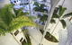 Beach Club Resort - thumb 34