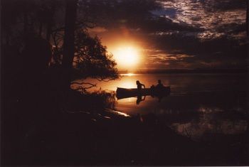 Lake Weyba Cottages Noosa - Accommodation Sunshine Coast 12