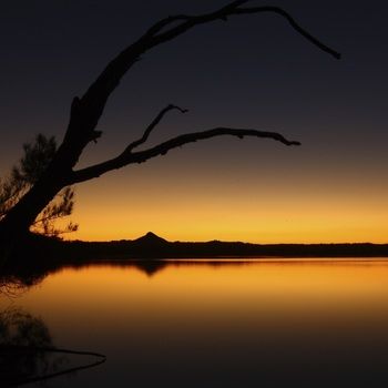 Lake Weyba Cottages Noosa - Accommodation Sunshine Coast 26