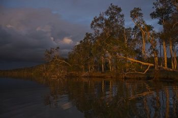 Lake Weyba Cottages Noosa - Accommodation Sunshine Coast 27