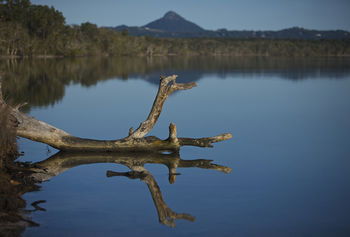 Lake Weyba Cottages Noosa - Accommodation Sunshine Coast 28