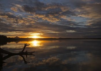 Lake Weyba Cottages Noosa - Accommodation Sunshine Coast 33