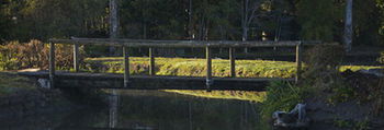 Lake Weyba Cottages Noosa - Accommodation Sunshine Coast 34