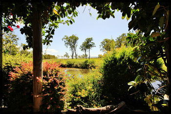 Lake Weyba Cottages Noosa - Accommodation Sunshine Coast 36