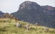Emirates One&Only Wolgan Valley Australia - thumb 26