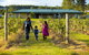 Talga Estate - thumb 26