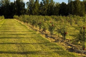 Talga Estate - Accommodation Sunshine Coast 45