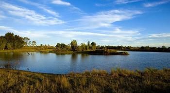 Talga Estate - Accommodation Sunshine Coast 46