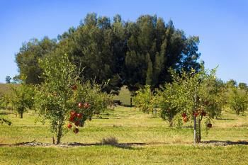 Talga Estate - Accommodation Sunshine Coast 48