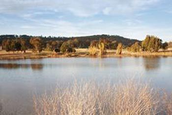 Talga Estate - Accommodation Sunshine Coast 3