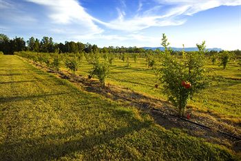 Talga Estate - Accommodation Sunshine Coast 12