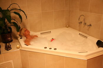 Lavender House B&B - Accommodation Sunshine Coast 0