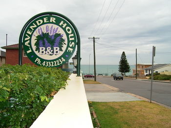 Lavender House B&B - Accommodation Sunshine Coast 18