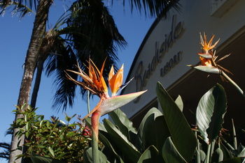 Beachside Resort - Kawana Waters - Accommodation Sunshine Coast 4