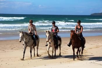 Sunset Cove Noosa - Accommodation Sunshine Coast 24