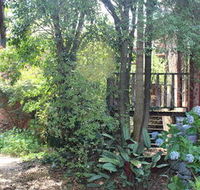 Storey Grange - Accommodation Sunshine Coast