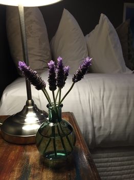 Lilies Luxury Retreats - Accommodation Sunshine Coast 51