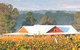 Lilies Luxury Retreats - thumb 6