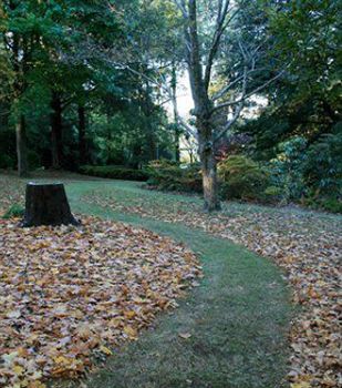 Moulton Park Estate - Accommodation Sunshine Coast 4