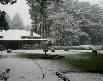 Moulton Park Estate - Accommodation Sunshine Coast 5
