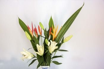Ninderry Manor Luxury Retreat - Accommodation Sunshine Coast 8