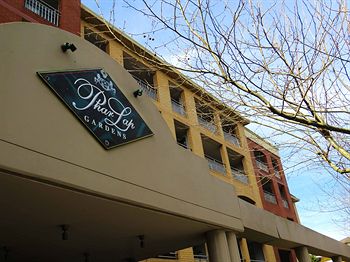 Waldorf Randwick Serviced Apartments - Accommodation Sunshine Coast 5