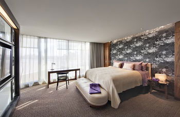 The Darling At The Star - Accommodation Sunshine Coast 8