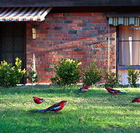 Crimson Villa - Accommodation Sunshine Coast