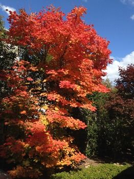 Valley Of The Waters B&B - Accommodation Sunshine Coast 5