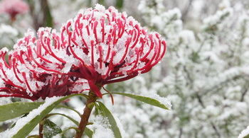 Valley Of The Waters B&B - Accommodation Sunshine Coast 12