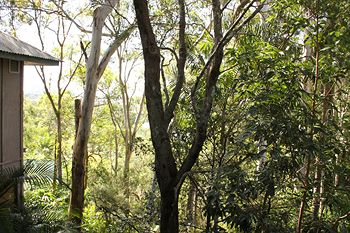 Arabella Guesthouse - Accommodation Sunshine Coast 18