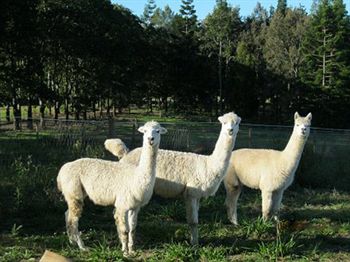 Beerwah QLD Accommodation Sunshine Coast