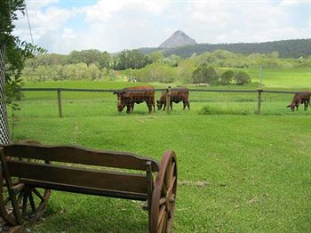 Blackwattle Farm B&B And Farm Stay - Accommodation Sunshine Coast 1