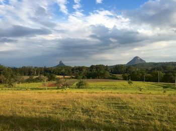 Blackwattle Farm B&B And Farm Stay - Accommodation Sunshine Coast 3