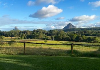 Blackwattle Farm B&B And Farm Stay - Accommodation Sunshine Coast 7