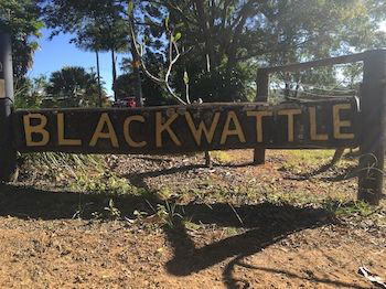 Blackwattle Farm B&B And Farm Stay - Accommodation Sunshine Coast 10