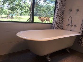 Blackwattle Farm B&B And Farm Stay - Accommodation Sunshine Coast 23