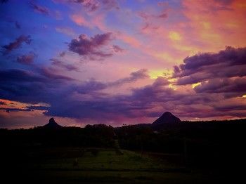 Blackwattle Farm B&B And Farm Stay - Accommodation Sunshine Coast 27