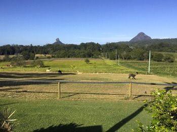 Blackwattle Farm B&B And Farm Stay - Accommodation Sunshine Coast 29