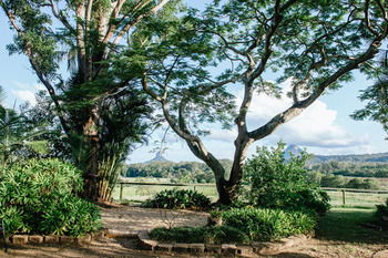 Blackwattle Farm B&B And Farm Stay - Accommodation Sunshine Coast 45