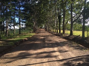Blackwattle Farm B&B And Farm Stay - Accommodation Sunshine Coast 46